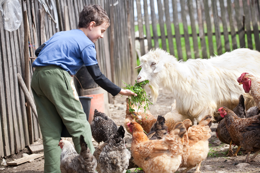 Lifestyle and Small Block Farming