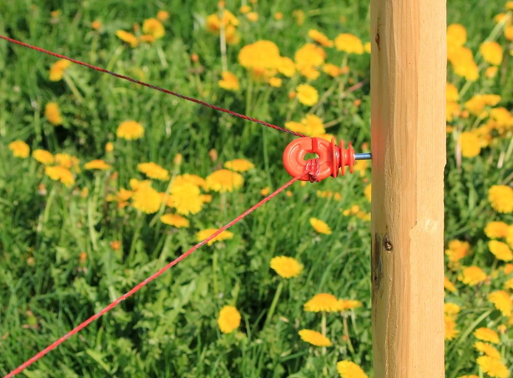 Electric Fencing